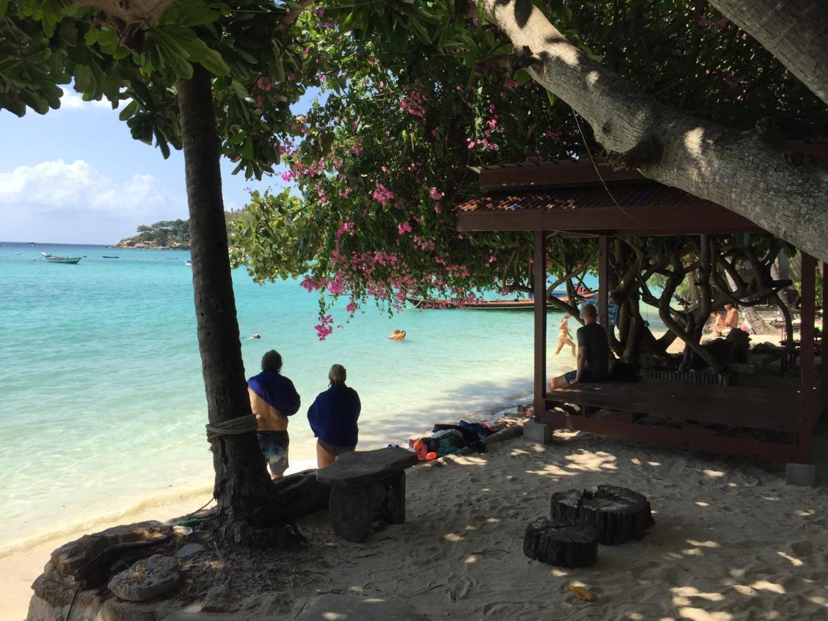 Big Fish Resort Koh Tao Exteriör bild